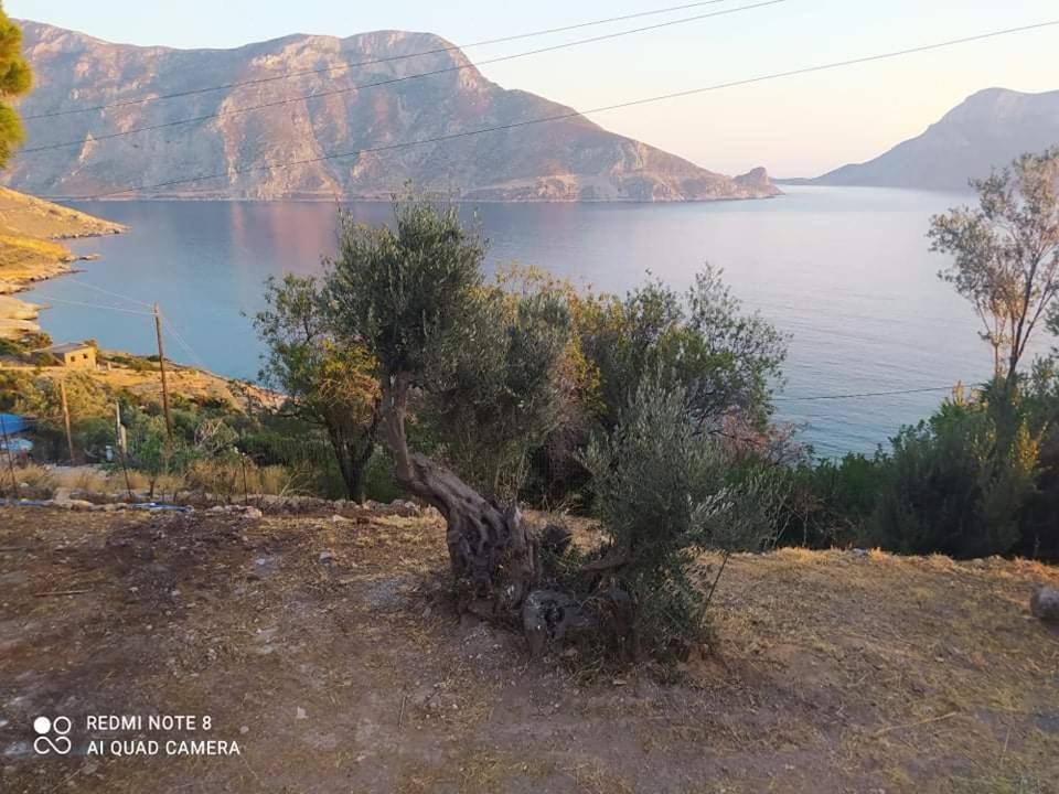 The Traditional House-Skalia,Kalymnos Dış mekan fotoğraf