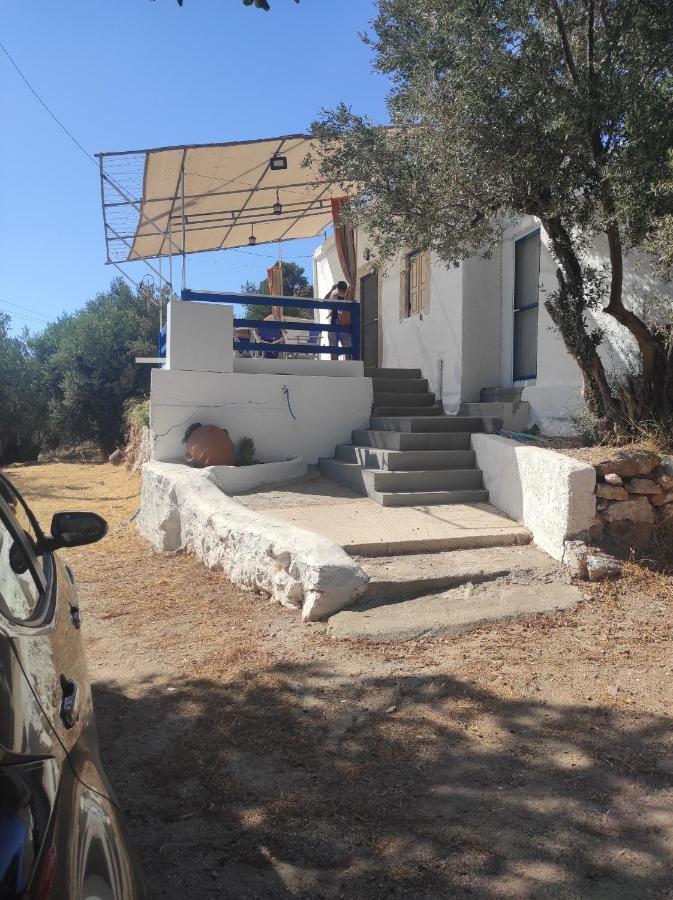 The Traditional House-Skalia,Kalymnos Dış mekan fotoğraf