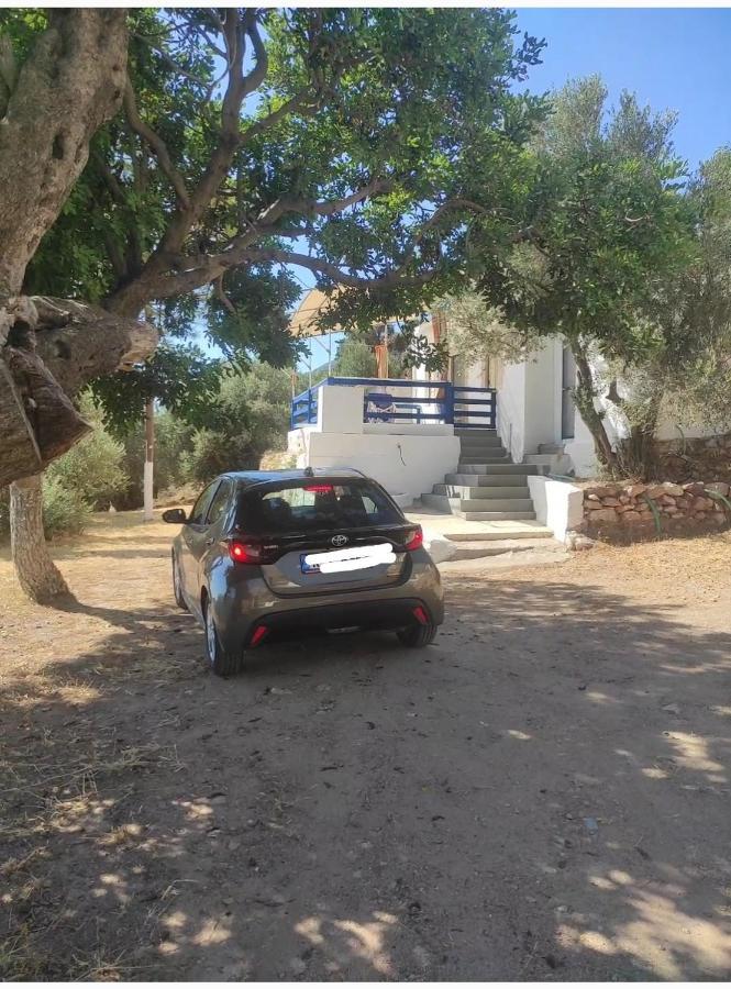 The Traditional House-Skalia,Kalymnos Dış mekan fotoğraf